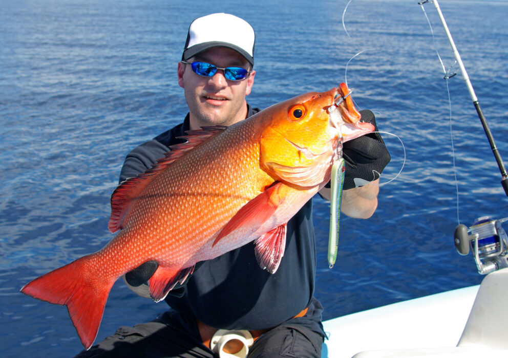 Artificiali da pesca: cosa sono e come usarli