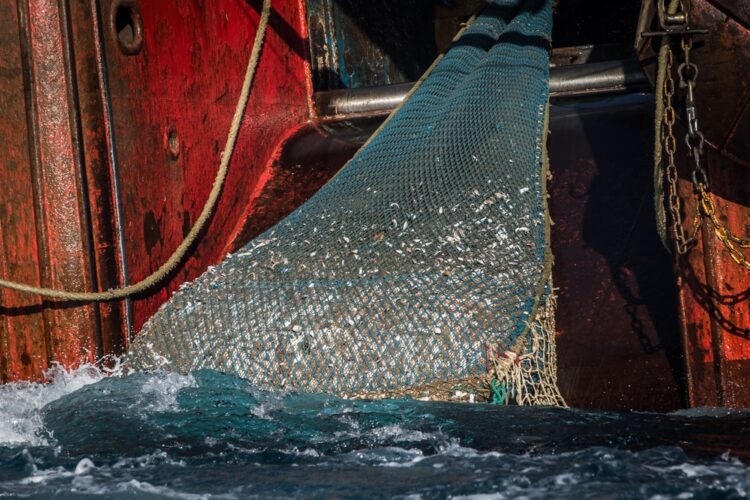 Pesca a strascico