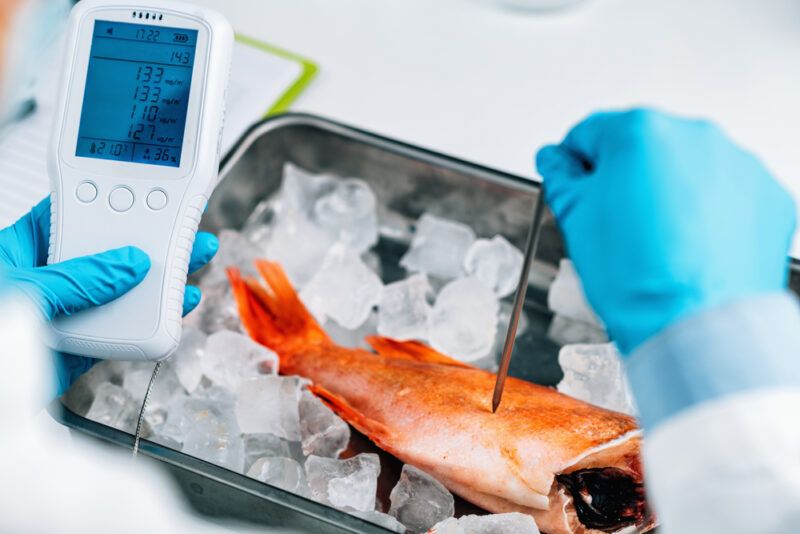 La contaminazione da metalli pesanti nei pesci