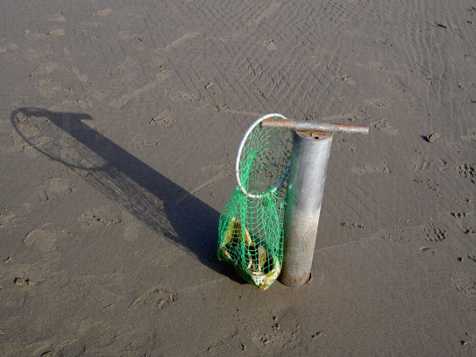 Cannolicchi appena raccolti