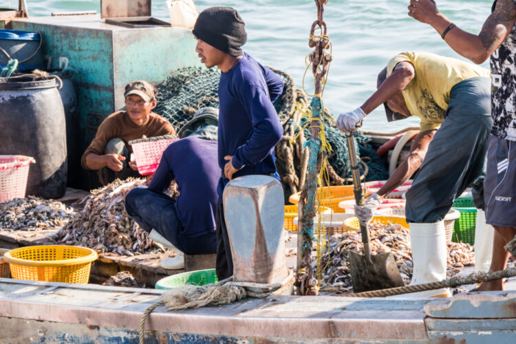 Inchiesta shock: cosa accade nelle stive dei pescherecci thailandesi?